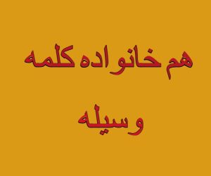 هم خانواده کلمه وسیله
