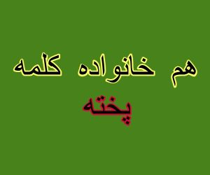 هم خانواده کلمه پخته