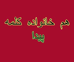 هم خانواده کلمه پیدا