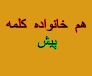 هم خانواده کلمه پیش