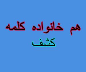 هم خانواده کلمه کشف