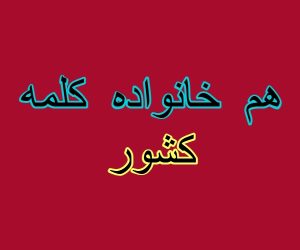 هم خانواده کلمه کشور