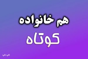 هم خانواده کلمه کوتاه