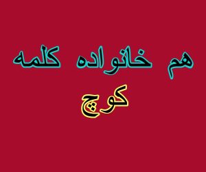 هم خانواده کلمه کوچ