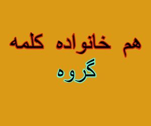 هم خانواده کلمه گروه