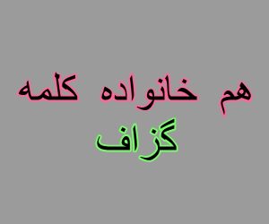 هم خانواده کلمه گزاف