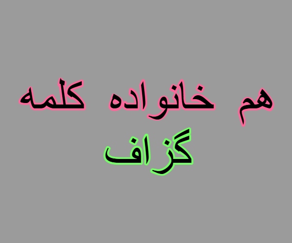 هم خانواده کلمه گزاف