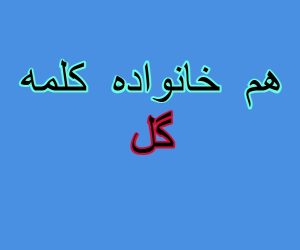 هم خانواده کلمه گل