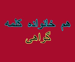 هم خانواده کلمه گواهی