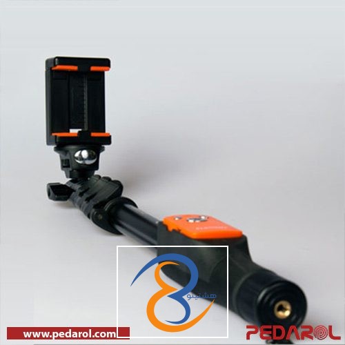 پایه مونوپاد - ساختار مونوپاد