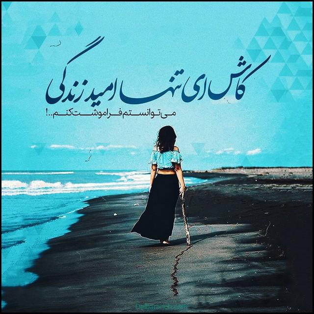 پروفایل دلتنگی (۱۰)