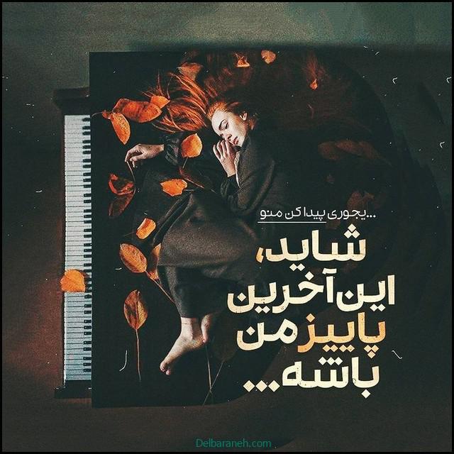 پروفایل دلتنگی (۱۴)