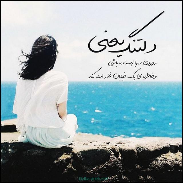 پروفایل دلتنگی (۱۵)