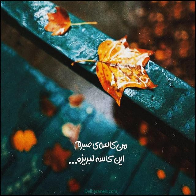 پروفایل دلتنگی (۲۰)