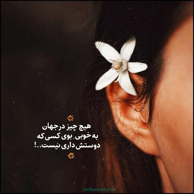 پروفایل دلتنگی (۲۱)