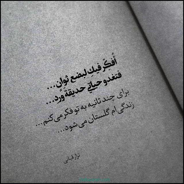 پروفایل دلتنگی (۲۸)