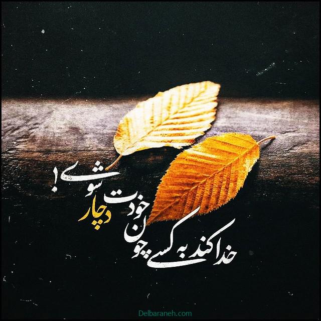 پروفایل دلتنگی (۳۱)