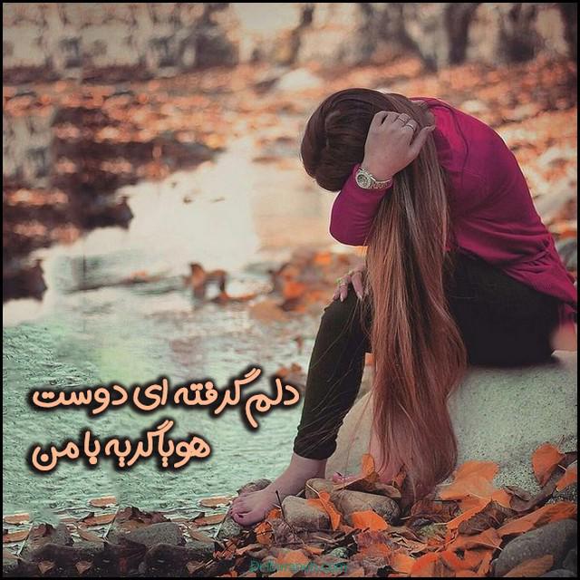 پروفایل دلتنگی (۳۲)