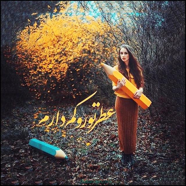 پروفایل دلتنگی (۳۵)