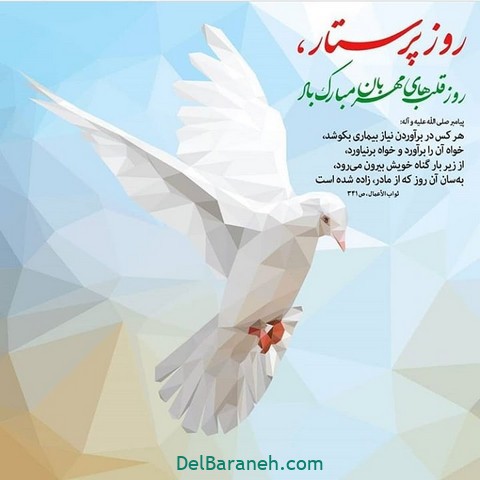 پروفایل روز پرستار (۱۶)