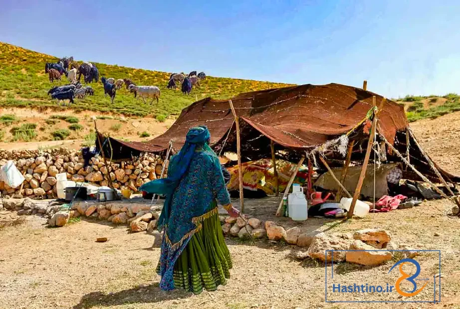 معاشرت با محلی‌ها