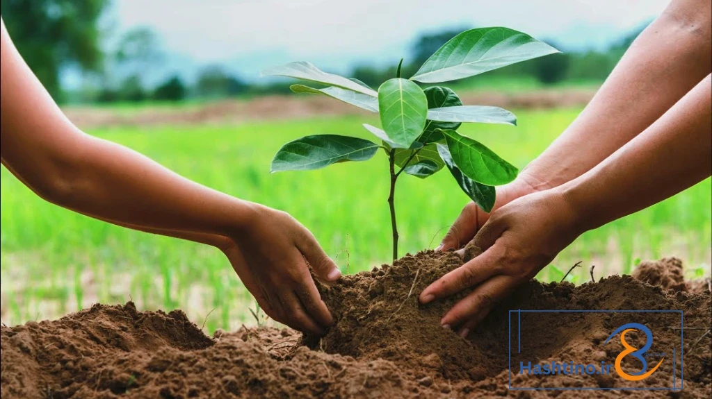 درختکاری لذت‌بخش با ابزارهای حرفه‌ای باغبانی!