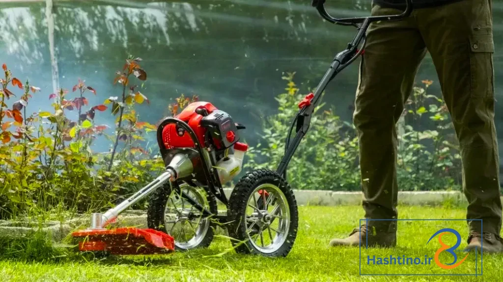 حاشیه زن رونیکس